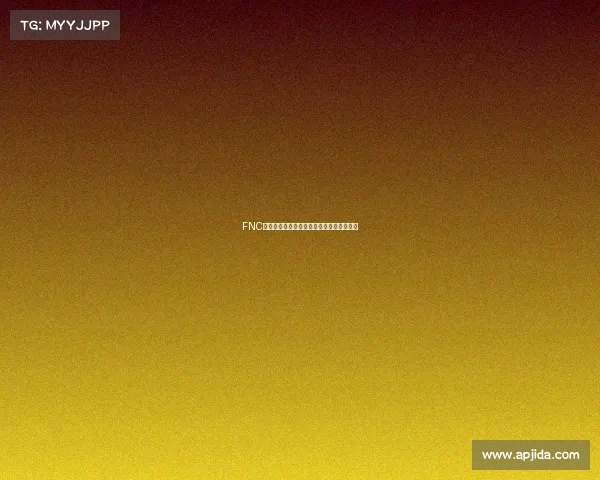 FNC确立全新团队基调：以稳定为基石剑指未来